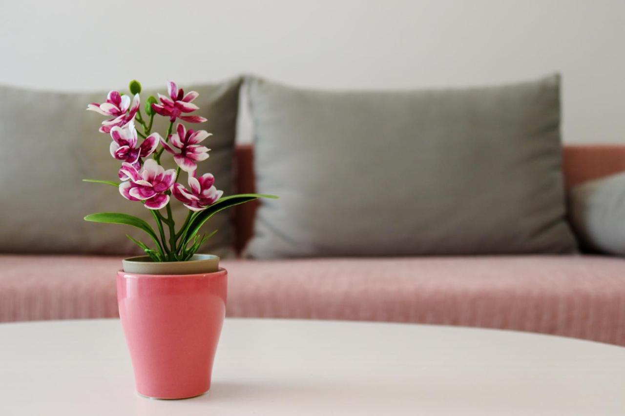 Apartmán Astoria Rose Năvodari Exteriér fotografie